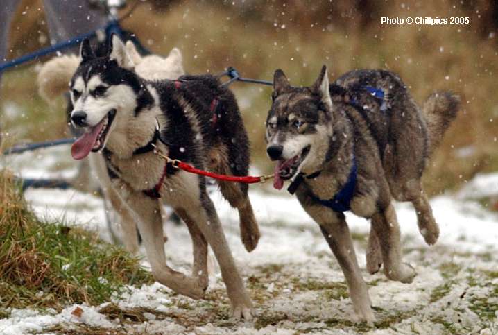 Photo � Chillpics 2005